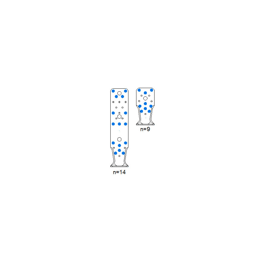 AKR-14-9nails.jpg