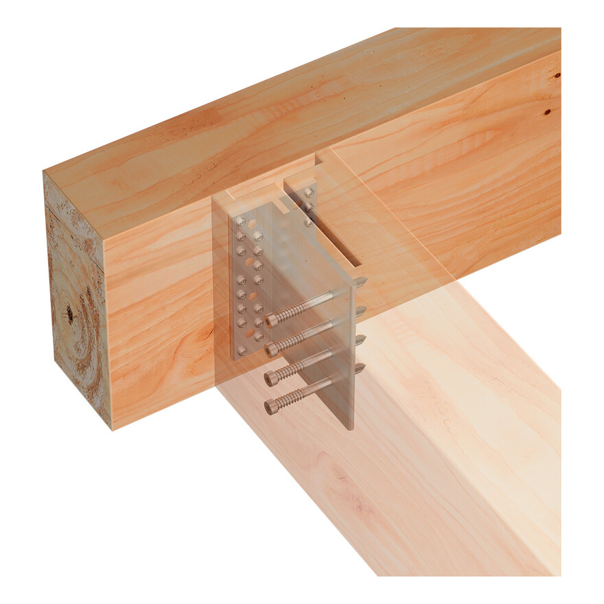 BTCALU on Timber Cross-Section